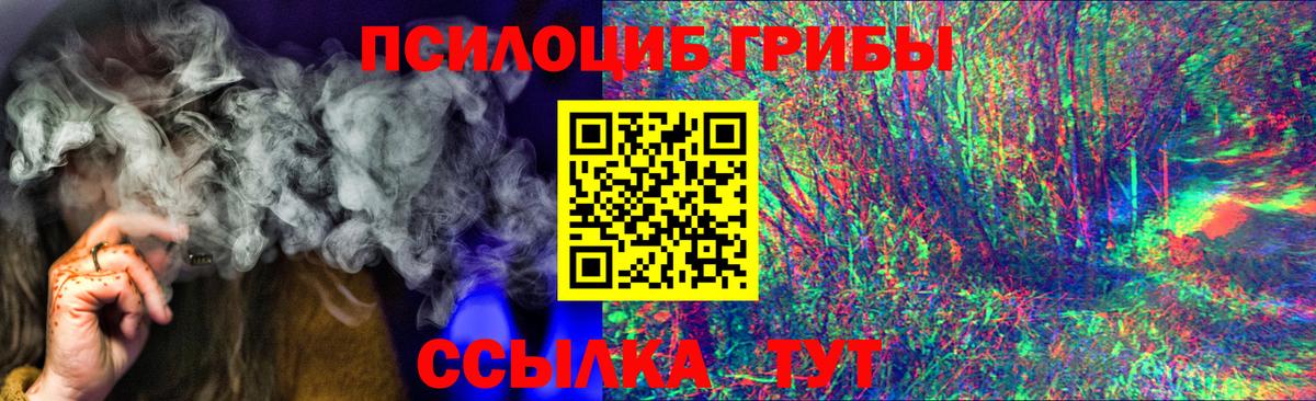 Галлюциногенные грибы мицелий Кохма